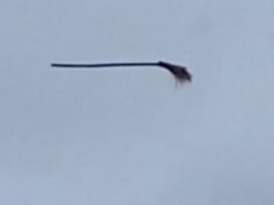 Мужчины засняли "заколдованную" метлу, которая парит над городом