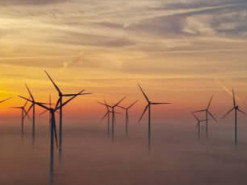 Німеччина за перше півріччя отримала рекордні 58% електроенергії з відновлюваних джерел