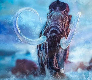 Американский онлайн-музей выставил на продажу мясо мамонта