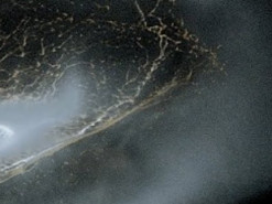 Нові симуляції проливають світло на походження кілець та крижаних місяців Сатурна