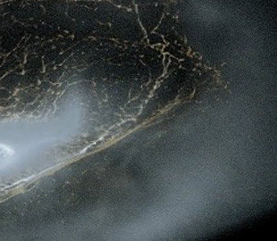 Нові симуляції проливають світло на походження кілець та крижаних місяців Сатурна