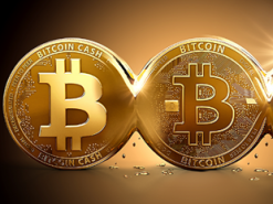 Гендиректор PayPal розповів, що станеться з Bitcoin у майбутньому