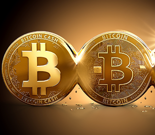 Гендиректор PayPal розповів, що станеться з Bitcoin у майбутньому