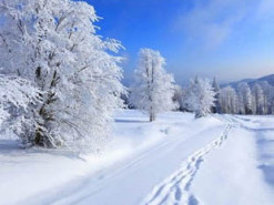 Синоптики розповіли, коли в Україну прийдуть морози до -20