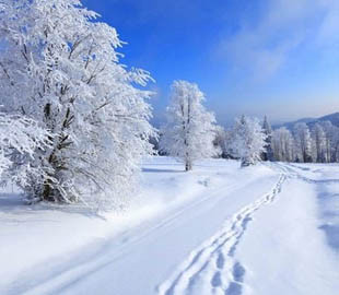 Синоптики розповіли, коли в Україну прийдуть морози до -20
