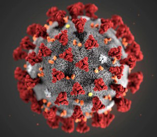 Учёные предложили геймерам помочь в борьбе с коронавирусом через видеоигру