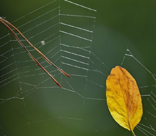 Гороскоп на 30 вересня для всіх знаків зодіаку: день ретельно виважених рішень