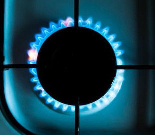 В Германии заявили о готовности жить без российского газа