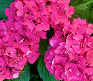 Гороскоп на 17 серпня для всіх знаків зодіаку: день, коли творчість принесе славу чи гроші