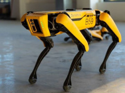 Робот-собака от Boston Dynamics начал проверять дистанцию между людьми в сингапурском парке