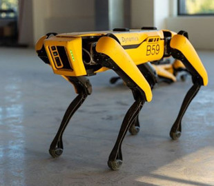 Робот-собака от Boston Dynamics начал проверять дистанцию между людьми в сингапурском парке