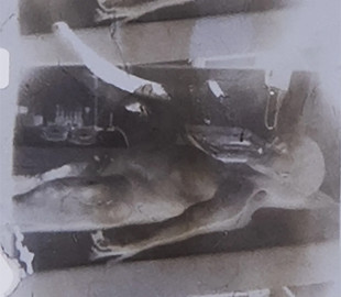 На аукціоні як NFT продають кадр «розтину інопланетянина». Стартова ціна — $1 млн