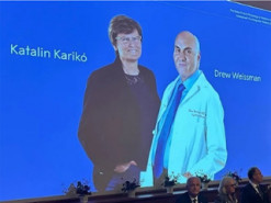 Нобелівську премію присудили творцям мРНК-вакцини від ковіда