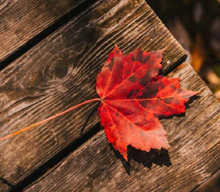 Як українці відпочиватимуть у листопаді 2022: календар усіх вихідних та свят