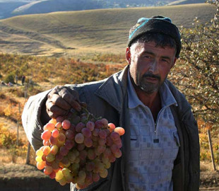 Госдеп США обучит таджикских блогеров «борьбе с пропагандой»