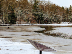 Аналитики раскритиковали интернет Starlink от SpaceX