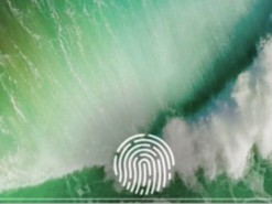В iPhone 2019 года не будет сканера Touch ID под экраном
