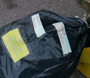 У Швеції провели оригінальну акцію на підтримку ЗСУ