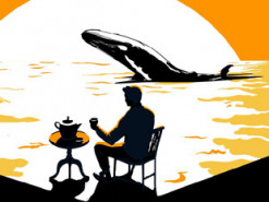 З недіючого шість років гаманця вивели 2100 BTC