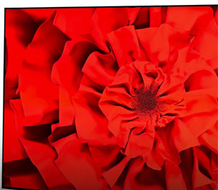 Нова ера екранів — яка технологія готується замінити OLED