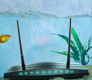 Мікрохвильовка та інші неочікувані "вороги" Wi-Fi. Як покращити звязок