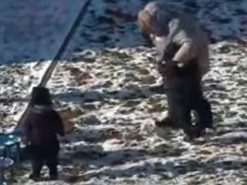 “Агресія у вихованні дітей недопустима” — департамент освіти Житомира відреагував на відео у соцмережах