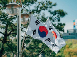 У Південній Кореї розробили картонні дрони-камікадзе, які дешевше квадрокоптерних FPV