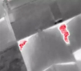 Беспилотники помогли поймать грабителей