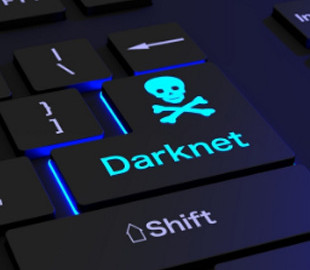 Польща заявляє, що Росія намагається вербувати поляків через даркнет для впливу на вибори