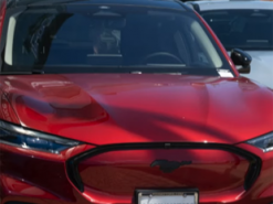 Завод з виробництва акумуляторів у Мічигані викликає побоювання через зв'язки з компартією Китаю