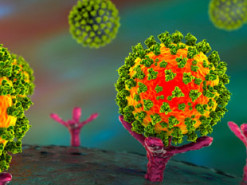 Пользователи смартфонов смогут помочь найти лекарство от COVID-19 с помощью ARM