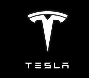 О чем спорят сторонники и противники проекта Tesla под Берлином?
