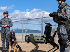 Японські військові отримали роботів-собак: вантажопідйомність 14 кг і швидкість 10 км/год