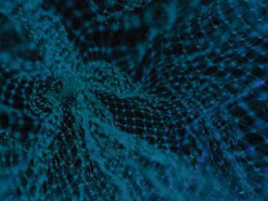 Нейромережа навчилась уявляти те, чого раніше ніколи не бачила