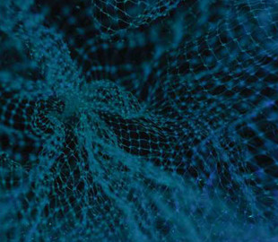 Нейромережа навчилась уявляти те, чого раніше ніколи не бачила