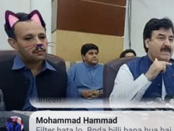 Міністр провів засідання в образі кота через фільтр у Facebook