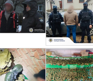 Поліцейські затримали трьох наркоторговців: вирощували коноплі, збували канабіс і психотропи через Telegram