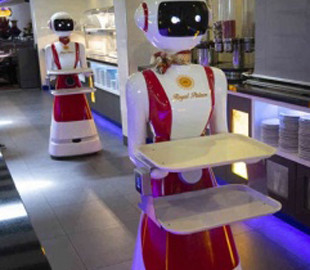 Роботы-официанты появятся в ресторанах Нидерландов