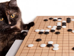 Головний секрет QR-коду розкрито - цій технології тисячі років