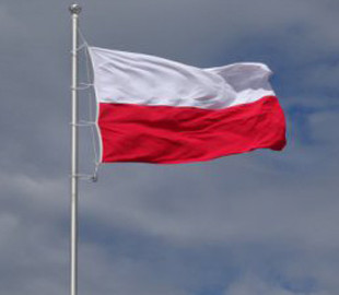 Польща взяла приклад з України. Створюють безпілотні війська