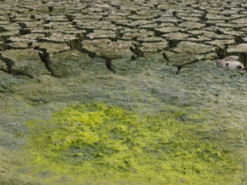 У Вʼєтнамі за квітень зафіксували понад 100 температурних рекордів