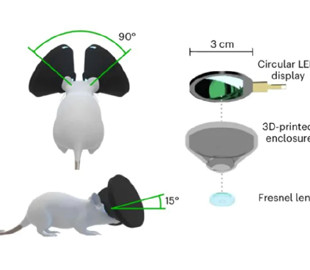 Відправили в "матрицю": вчені створили для мишей окуляри віртуальної реальності