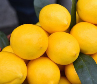 Кава з лимоном для схуднення: дієтолог прокоментувала популярний рецепт з TikTok
