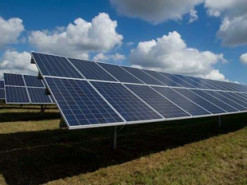 Amazon побудує п’ять сонячних електростанцій у трьох країнах