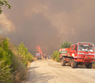 У п’яти провінціях Туреччини вирують лісові пожежі