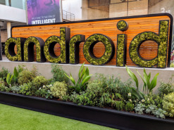 Google выпустил предварительную версию Android 12 для разработчиков