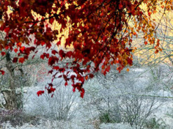 Як українці відпочиватимуть у листопаді-2022: календар вихідних та свят