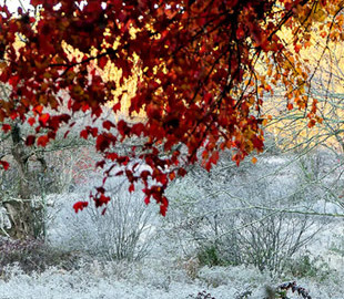 Як українці відпочиватимуть у листопаді-2022: календар вихідних та свят