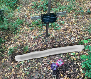 Школьница из Каменского извинилась за свой вандализм на кладбище домашних животных