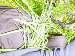 Підозру оголосили крадію мідних кабелів на Сарненщині